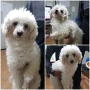 여술로 이미지