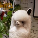 한준농장 이미지