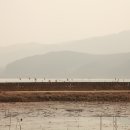 머리풍경 이미지