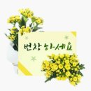 부라보맥주 이미지