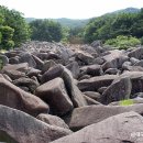비슬산관광지 이미지