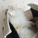 별다리 캠핑 네이버블로그