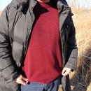 아이엠신 이미지