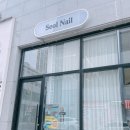 [후기] 군산 미장동 네일 추천 설네일