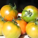 이영선농장 이미지