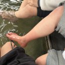 청수농장 | 또 대만여행,,,Day 1_자오시(럭키드로우/장메이 농장/청수지열/뤄동야시장/이슌쉬엔)