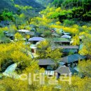 산촌 이미지
