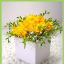 강승욱114행정사 사무소 이미지