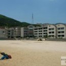 천성초등학교 이미지