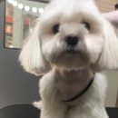 웨그앤코 이미지