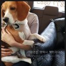 포유25다농점