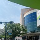 이마트 트레이더스 건너 이미지