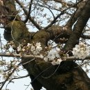 왜관중학교 이미지