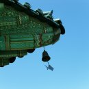 물고기 식당 이미지