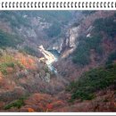 11월 정기산행 순창 강천산(583.7m) 단풍산행~~ 이미지