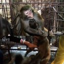 실상농장 이미지