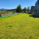 강아지풀애견펜션 이미지