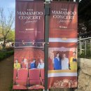 팅팅스(ting tings) | 190419-190421 마마무 콘서트 4season F/W 관람 후기 :: 3일 연속 올콘하고 왔어요!
