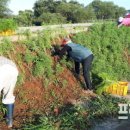 동읍행정복지센터 이미지