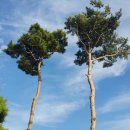 무지개좋아 이미지