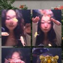 도토리김밥나라 이미지