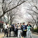정평천 | 아이비전 토요사회성 프로그램으로 신봉동에 위치한 정평천 벚꽃구경 다녀운 후기!!