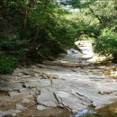 동천6호 Daum카페