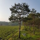 남송농원 이미지