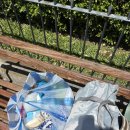 중앙공원 화장실(사무실) | 🇬🇹Day25 마지막 날까지 힘들다 난 왜..?:: Blue moon hostel, 십자가 언덕, 뽀요 깜뻬로, 안티구아...