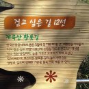 22년7월17일(일요일) 대전 계족산 황톳길(맨발걷기) 산행 안내 이미지