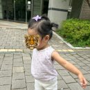 타이니보우 이미지