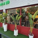 포레스트탭룸 | 원종역 파스타 맛집 다양한 술 종류가 많은 포레스트탭룸 솔직후기