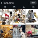 훈트(HUND) 이미지