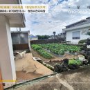 굿모닝제주공인중개사사무소 이미지