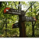 포항상생숲길 이미지