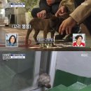 김숙농장 이미지