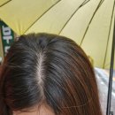 매교역사거리 8번출구 이미지