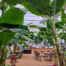 함평이야기 | 함평 바나나온실 후기 아이와 함께한 생태체험 이야기