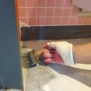 악쓰는하마 이미지