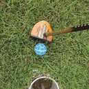 태성파크 이미지