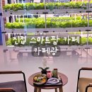 팜 | [리뷰] 진접카페 카페광 스마트팜 샐러드 후기