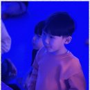 미르태권도 이미지