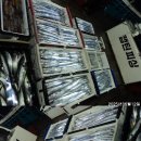 12일 갈치 한치병행출조 갈치대박조황!!! 초저녁입질이부진해 이동후쿨러에 담을새도없이 쏟아져 많이잡았습니다. 16일 월요일부터 출조합니 이미지