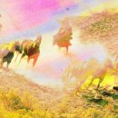 주식회사 플랜인사이트