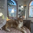 펜션이야기 | [대전 근교 금산 펜션] 그림이야기책펜션 후기