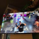 위드카 | Day5. 카젤라파크 워킹위드라이언 / 치타+카라칼터치 / 에코라이더 후기