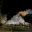 장군묘 화장실 이미지