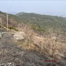 성왕산등산로 이미지