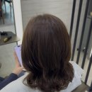 더샵헤어살롱