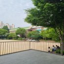 청소년상담사 3급 - 청소년이해론 이미지